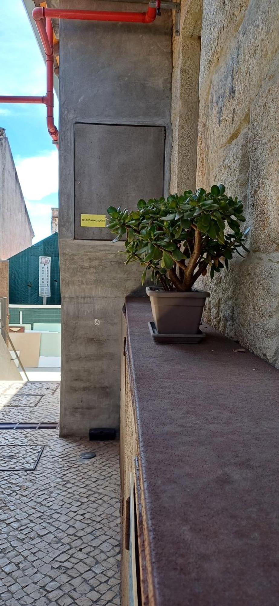 Typical Loft Oporto Downtown Διαμέρισμα Εξωτερικό φωτογραφία